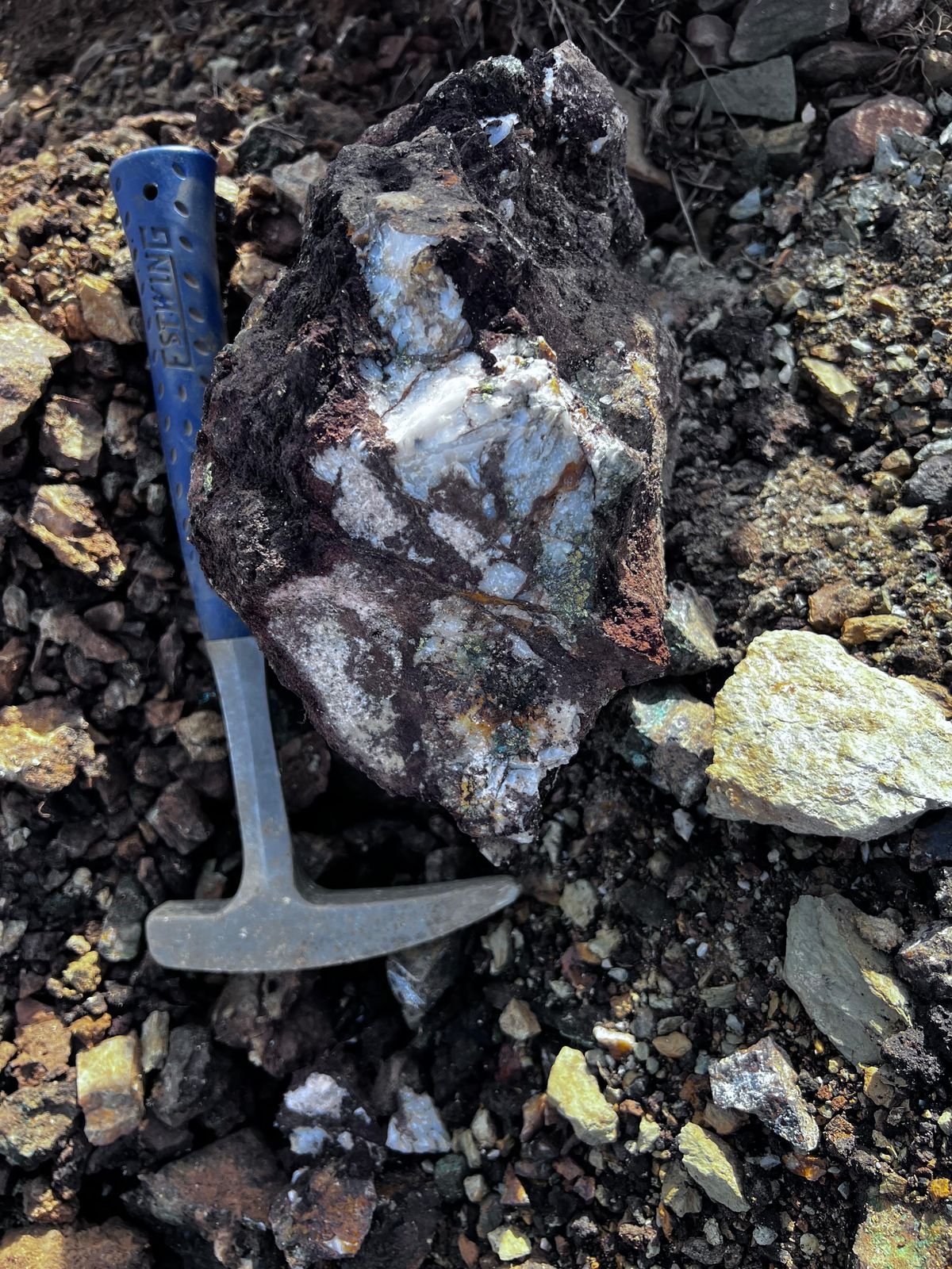 Mineral specimen in the field